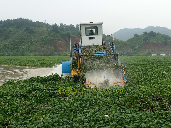 水葫芦打捞船